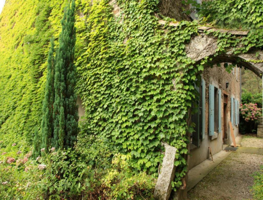 Bed and Breakfast L'Affable Les Cammazes Экстерьер фото